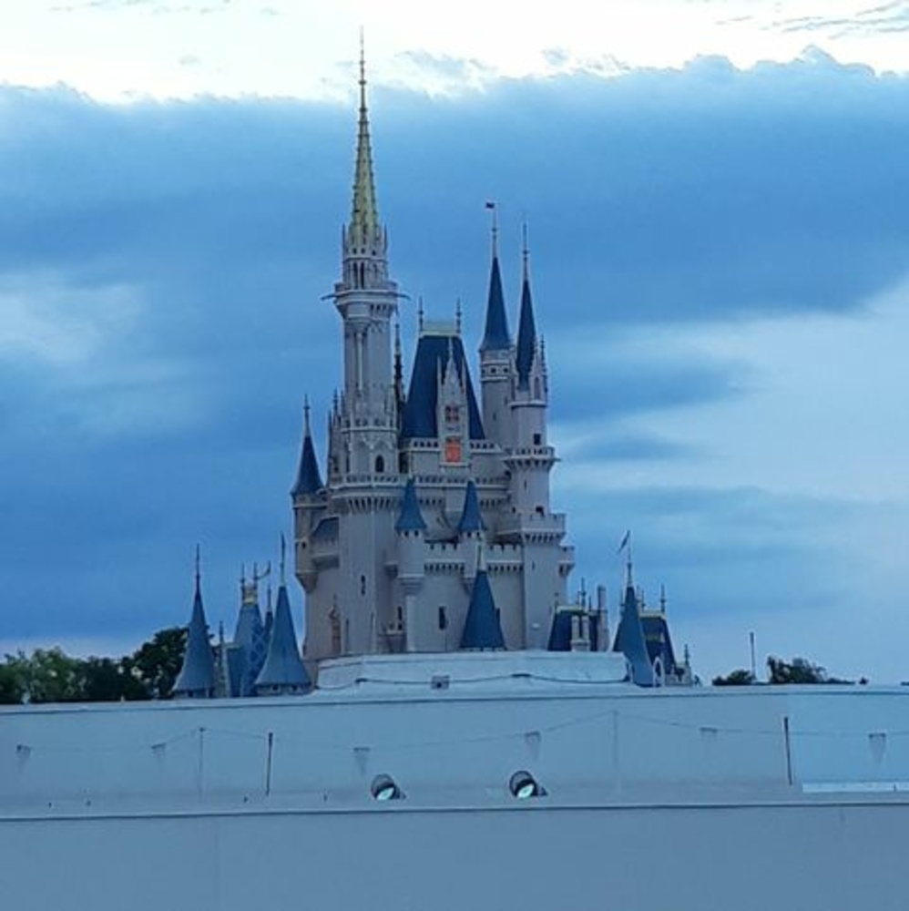 Meet your Posher, Tammy